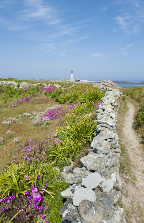 view of île de sein in brittany